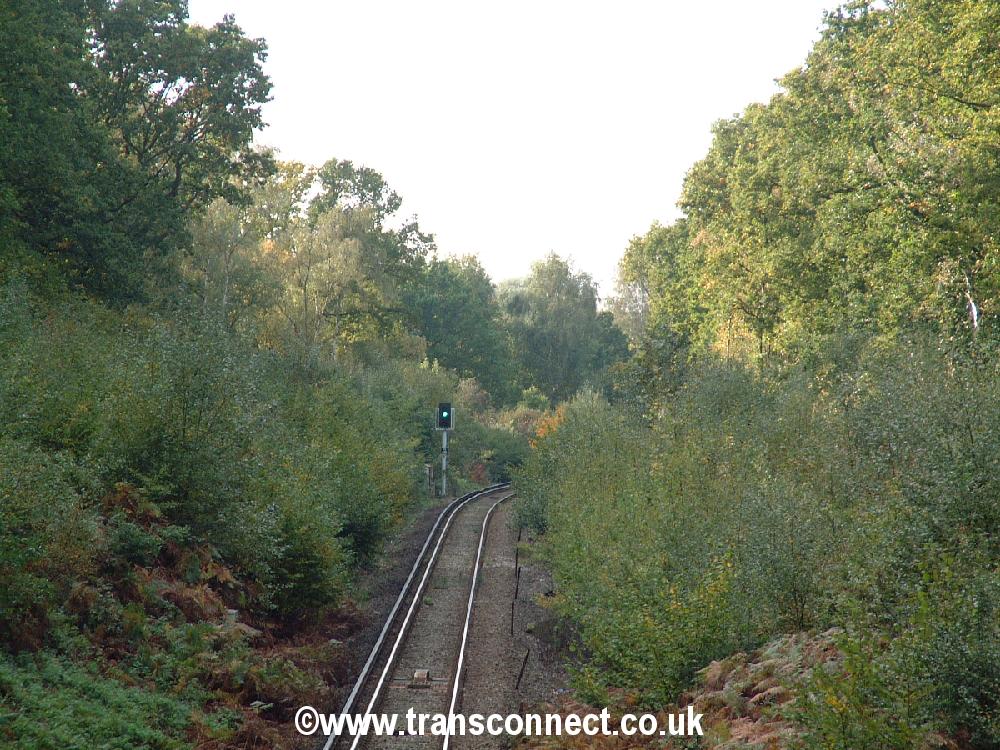 Track 1 Up Loop To Chislehurst Green Signal 171004.JPG